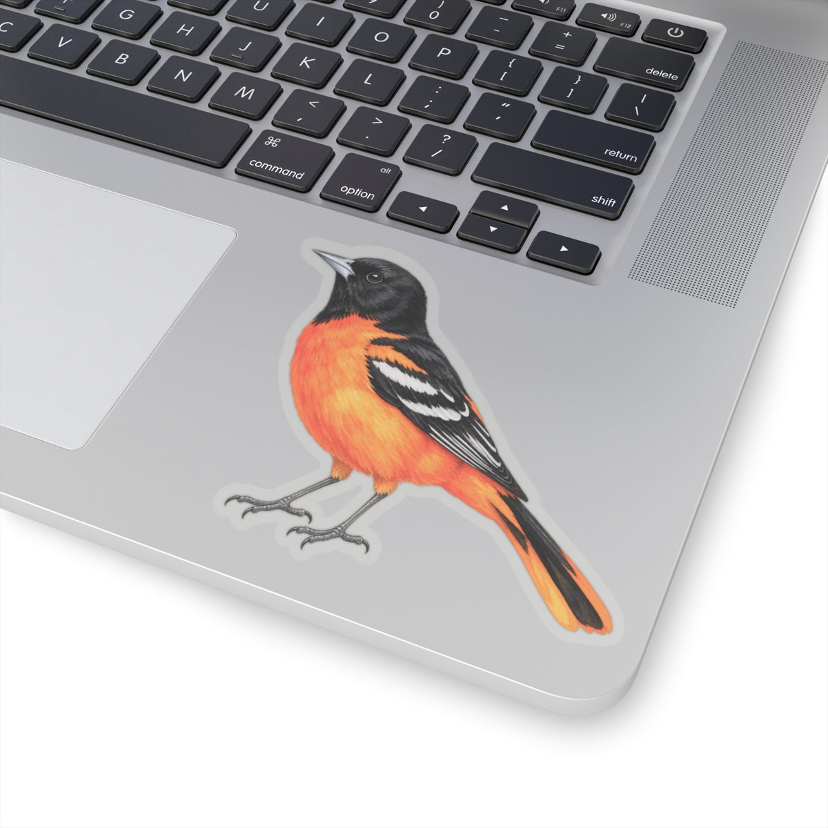 Baltimore Oriole Bird Sticker Decal, Orange Birdwatcher Watercolor Art Vinyl Laptop Waterbottle Tumbler Car Waterproof Bumper Clear Die Cut