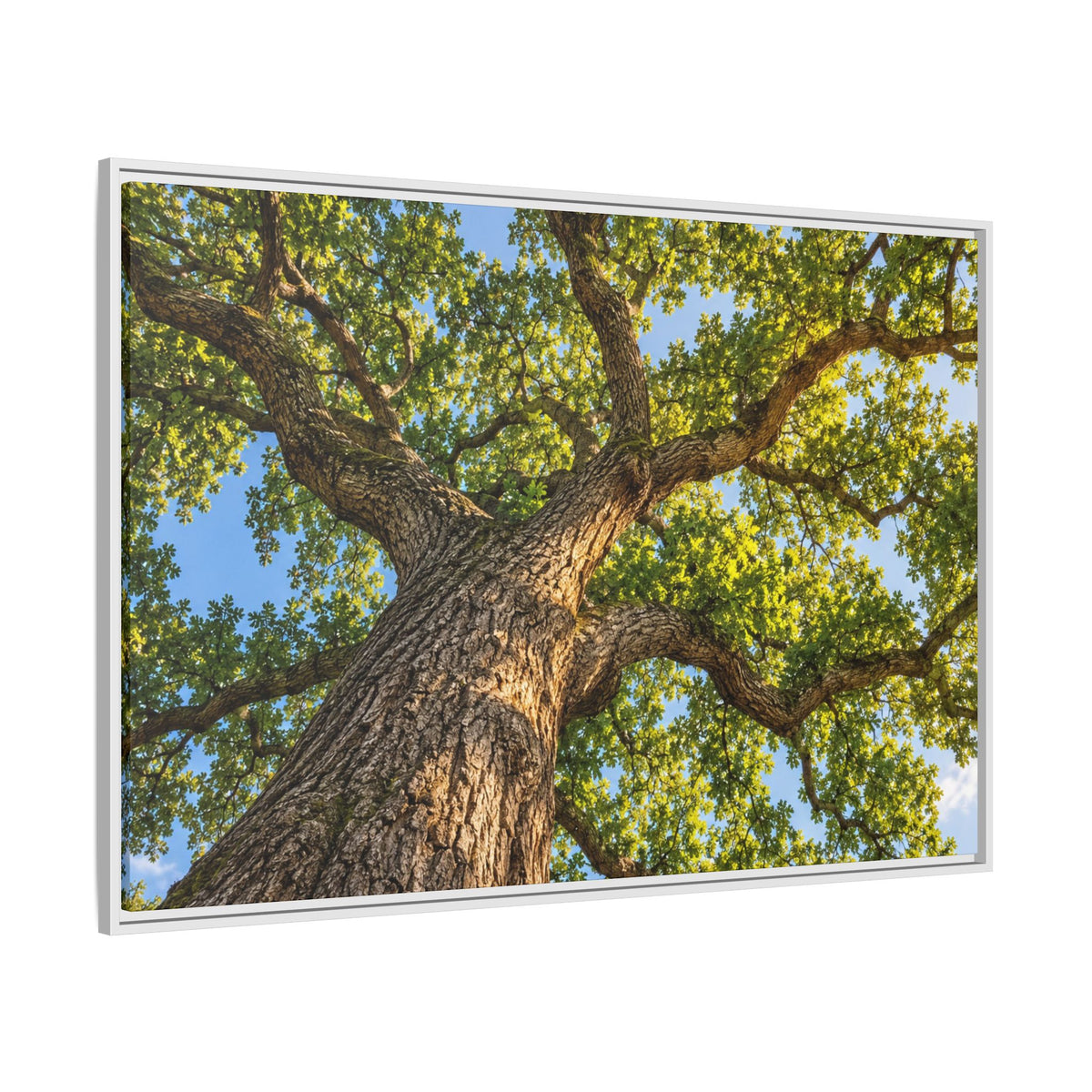 Oak Tree Canopy Canvas Wood Framed, Green Foliage Sunlit Woodland Wall Art Print Artwork Decor Small Large Hanging Matte Modern Landscape