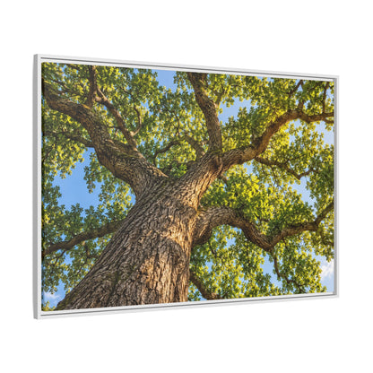 Oak Tree Canopy Canvas Wood Framed, Green Foliage Sunlit Woodland Wall Art Print Artwork Decor Small Large Hanging Matte Modern Landscape