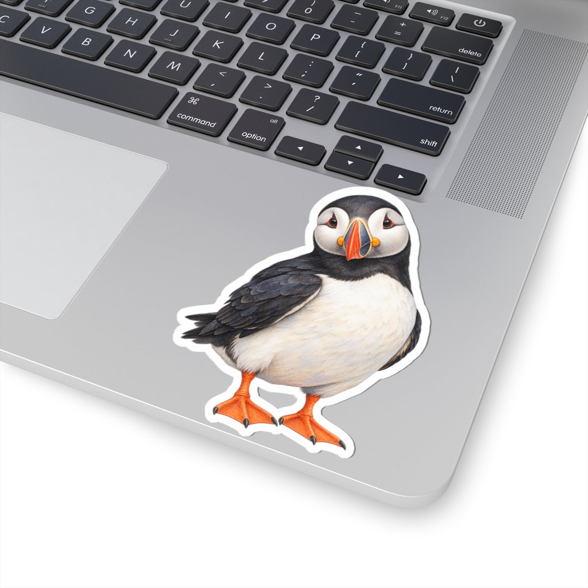 Atlantic Puffin Sticker Decal, Bird Seabird Watercolor Art Vinyl Laptop Cute Waterbottle Tumbler Car Waterproof Bumper 4x4 Clear Die Cut