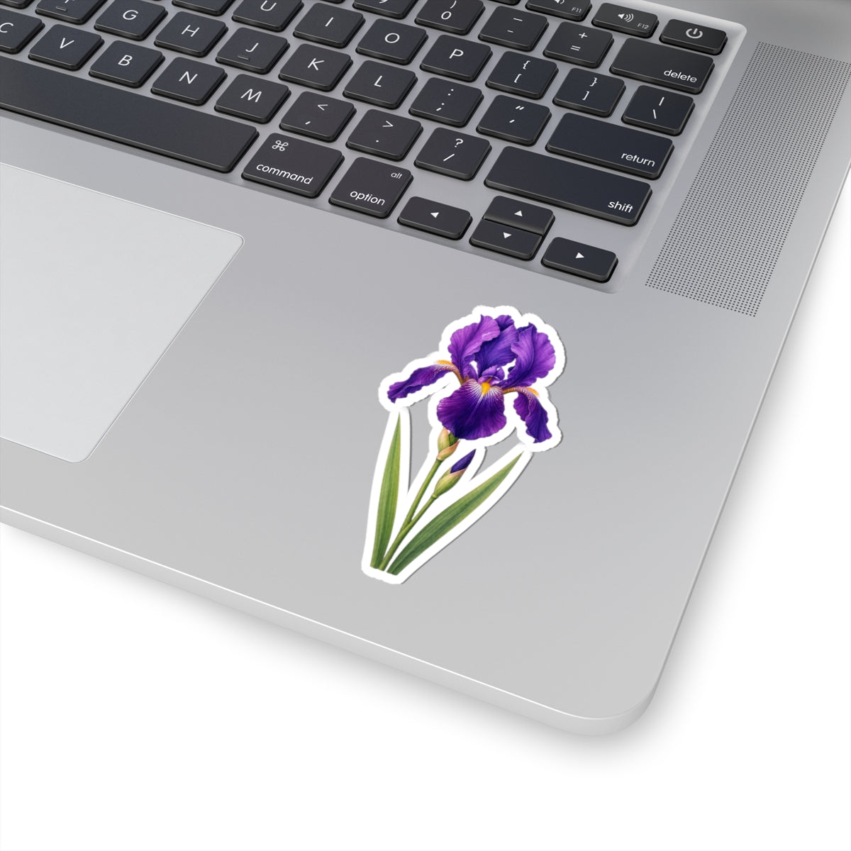 Purple Iris Flower Sticker Decal, Blossom Floral Watercolor Art Vinyl Cute Waterbottle Tumbler Car Waterproof Bumper Clear Die Cut Wall - Starcove Fashion