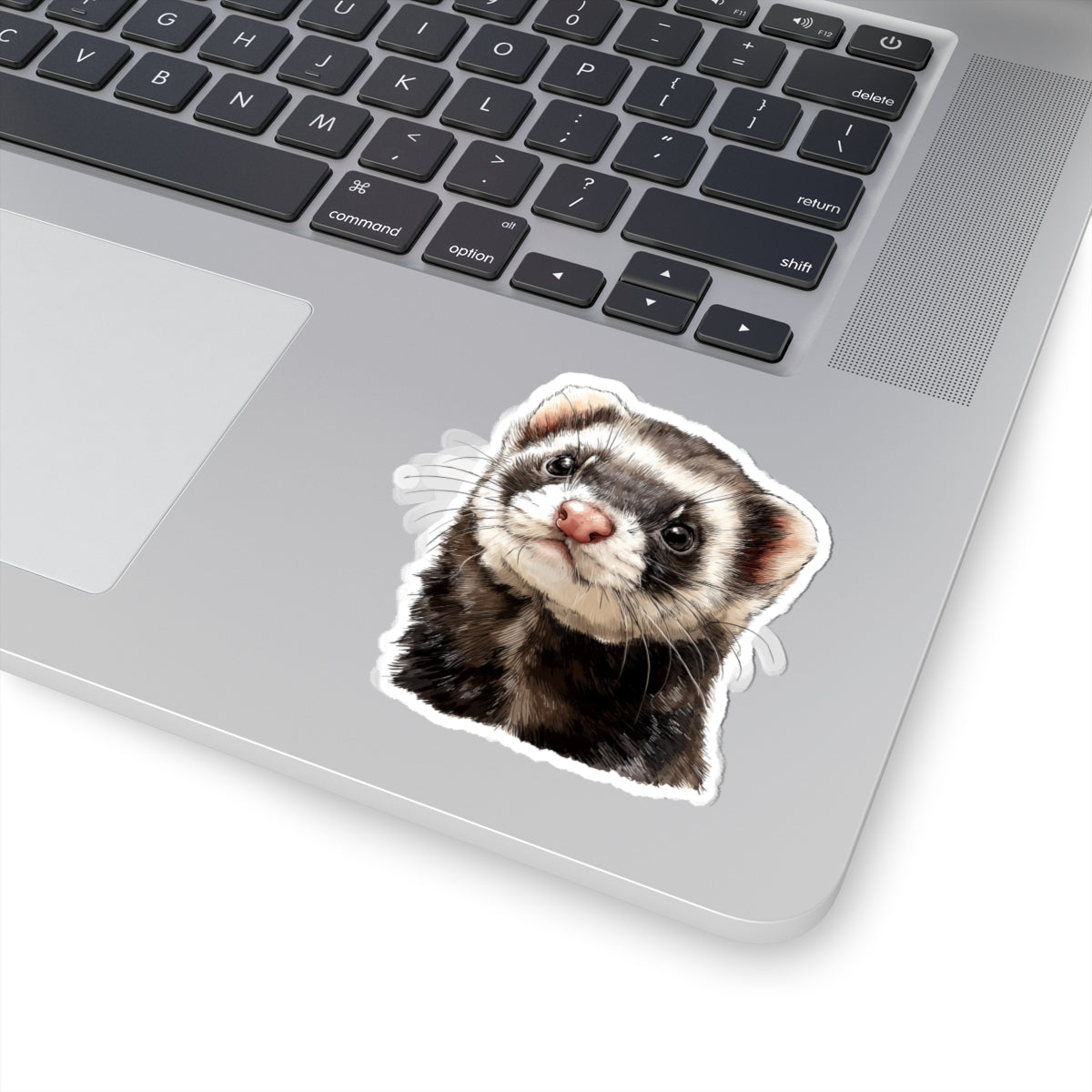 Ferret Sticker Decal, Watercolor Animal Wildlife Cute Art Vinyl Laptop Waterbottle Tumbler Car Waterproof Bumper 4x4 Clear Die Cut Wall