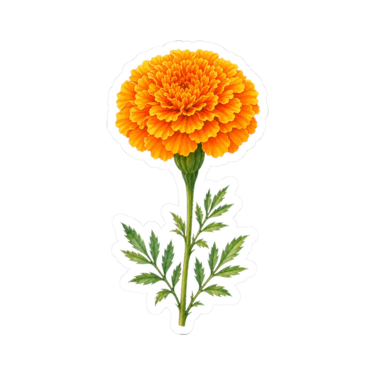 Marigold Flower Sticker Decal, Bright Orange Floral Watercolor Art Vinyl Cute Waterbottle Tumbler Car Waterproof Bumper Clear Die Cut Wall - Starcove Fashion