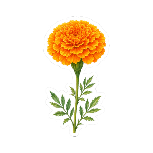 Marigold Flower Sticker Decal, Bright Orange Floral Watercolor Art Vinyl Cute Waterbottle Tumbler Car Waterproof Bumper Clear Die Cut Wall