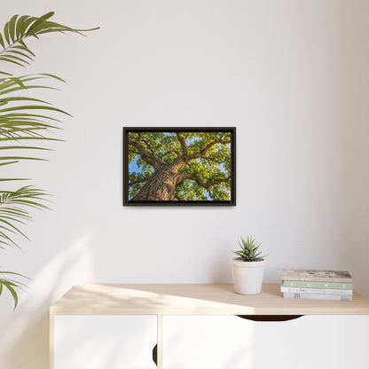 Oak Tree Canopy Canvas Wood Framed, Green Foliage Sunlit Woodland Wall Art Print Artwork Decor Small Large Hanging Matte Modern Landscape