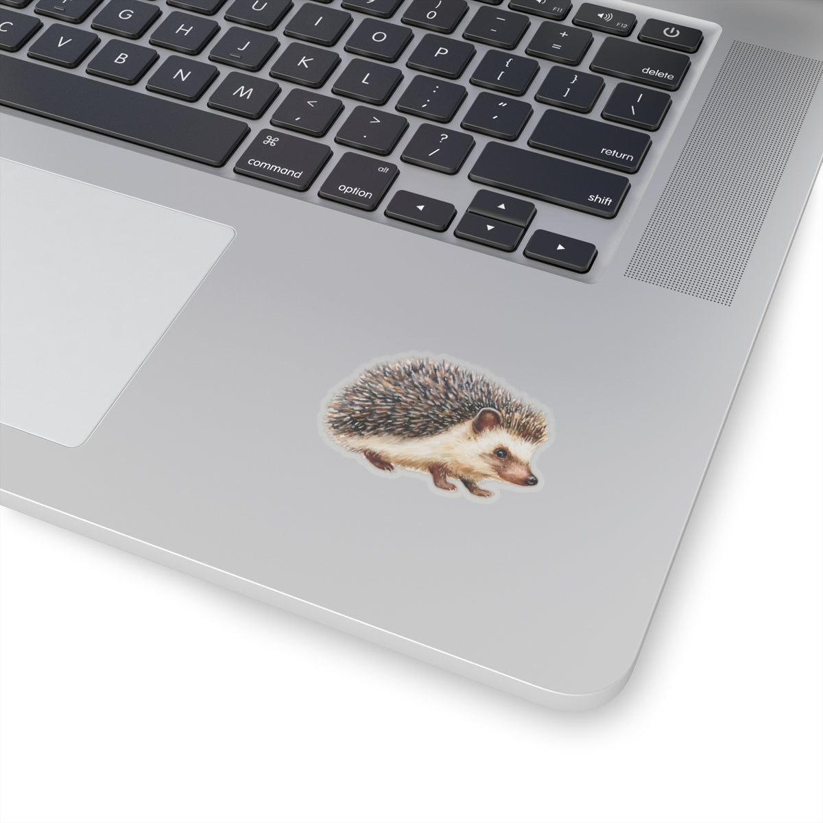 Hedgehog Sticker Decal, Watercolor Animal Wildlife  Cute Art Vinyl Laptop Waterbottle Tumbler Car Waterproof Bumper 4x4 Clear Die Cut Wall
