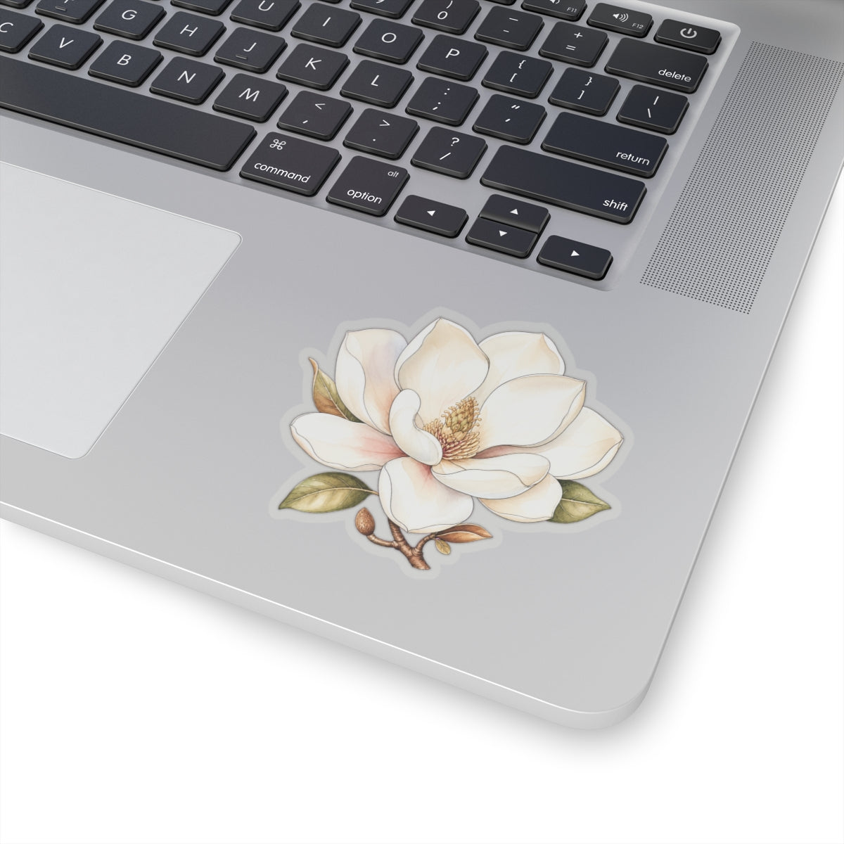 White Magnolia Flower Sticker Decal, Blossom Floral Watercolor Art Vinyl Cute Waterbottle Tumbler Car Waterproof Bumper Clear Die Cut Wall - Starcove Fashion