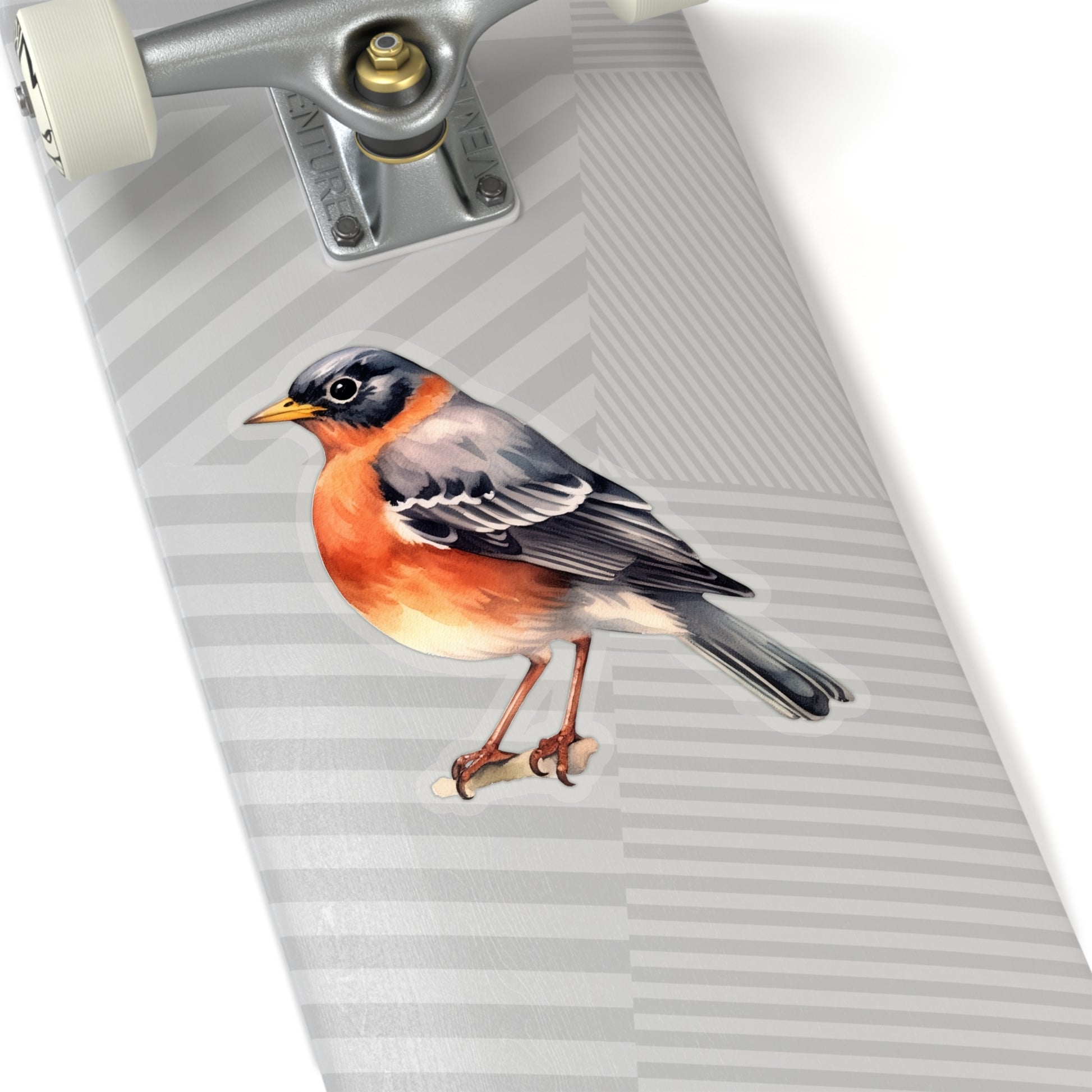 American Robin Sticker Decal, Bird Watercolor Art Vinyl Laptop Cute Waterbottle Tumbler Car Waterproof Bumper Clear Die Cut Wall Starcove Fashion