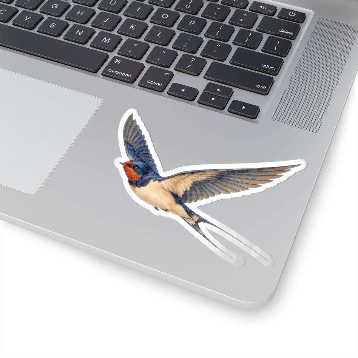 Barn Swallow Bird Sticker Decal, Blue Flying Birdwatcher Watercolor Art Vinyl Laptop Waterbottle Tumbler Car Waterproof Bumper Clear Die Cut