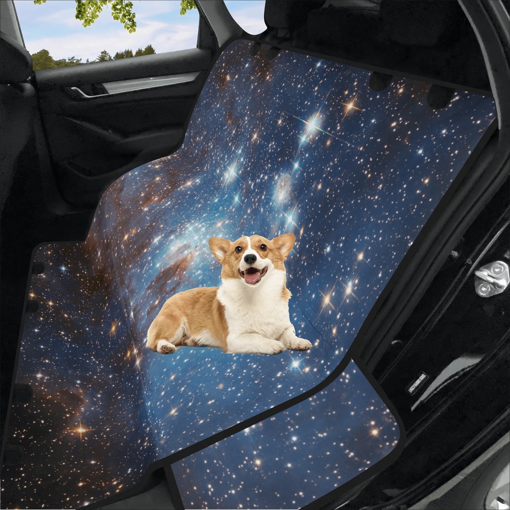 filename-1775401805-3-Mg7vaplEwc