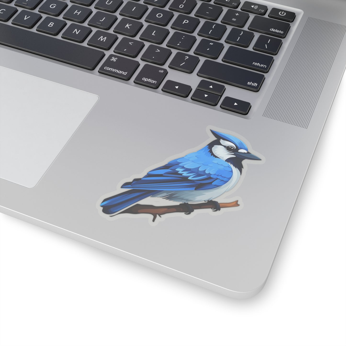 Blue Jay Sticker Decal, Bird Art Vinyl Laptop Cute Waterbottle Tumbler Car Waterproof Bumper Clear Aesthetic Die Cut Wall Starcove Fashion