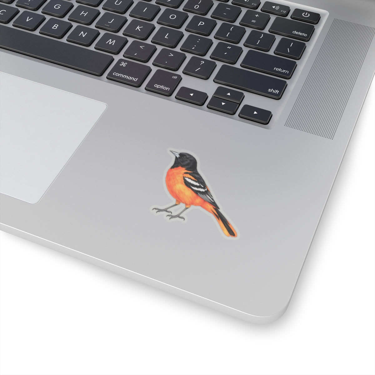 Baltimore Oriole Bird Sticker Decal, Orange Birdwatcher Watercolor Art Vinyl Laptop Waterbottle Tumbler Car Waterproof Bumper Clear Die Cut