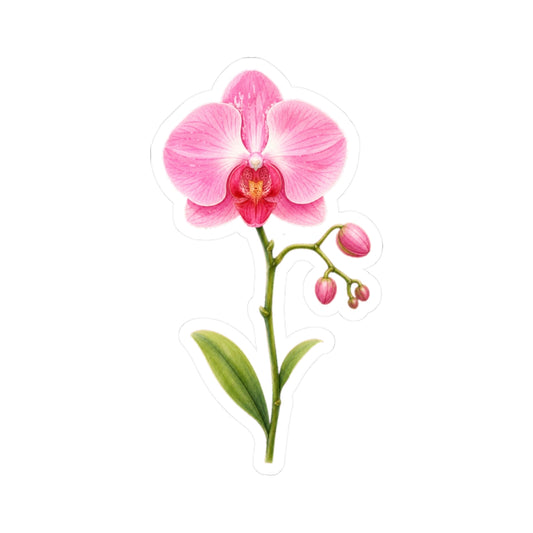 Pink Orchid Flower Sticker Decal, Blossom Floral Watercolor Art Vinyl Cute Waterbottle Tumbler Car Waterproof Bumper Clear Die Cut Wall
