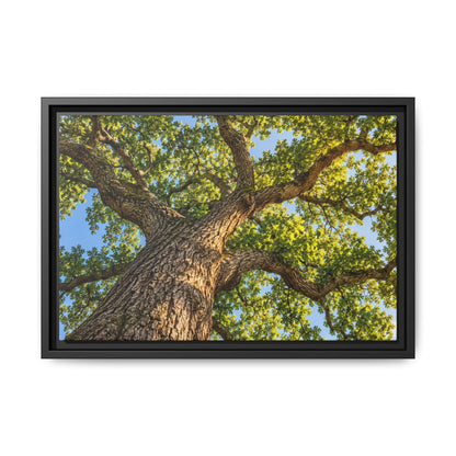 Oak Tree Canopy Canvas Wood Framed, Green Foliage Sunlit Woodland Wall Art Print Artwork Decor Small Large Hanging Matte Modern Landscape