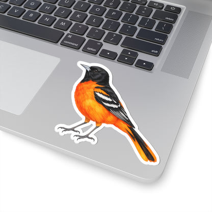 Baltimore Oriole Bird Sticker Decal, Orange Birdwatcher Watercolor Art Vinyl Laptop Waterbottle Tumbler Car Waterproof Bumper Clear Die Cut