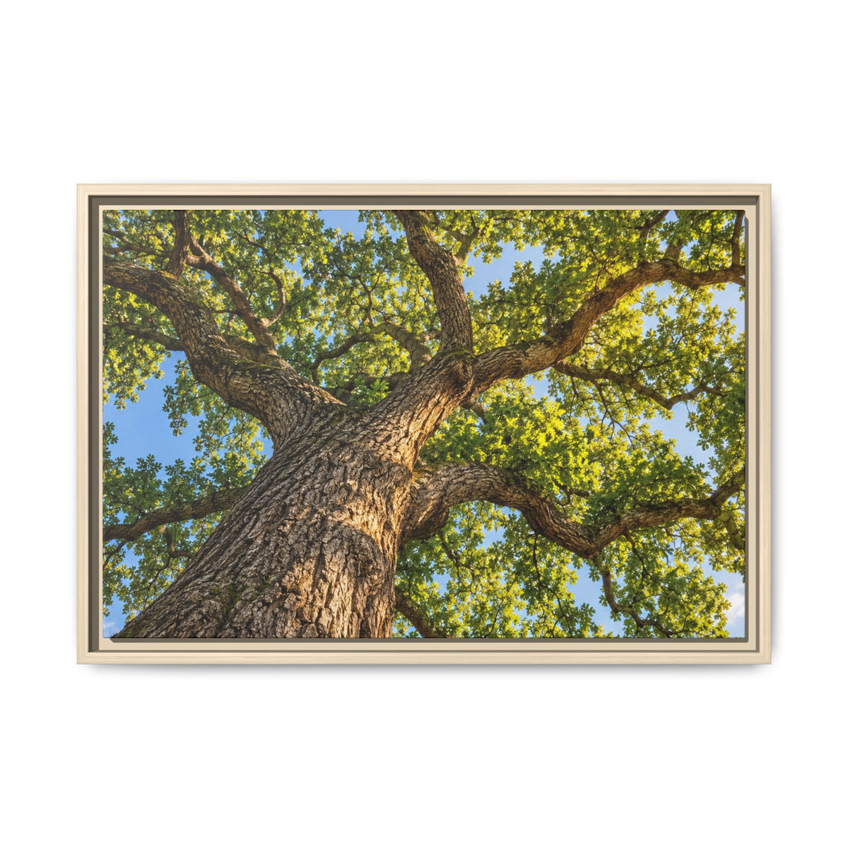 Oak Tree Canopy Canvas Wood Framed, Green Foliage Sunlit Woodland Wall Art Print Artwork Decor Small Large Hanging Matte Modern Landscape