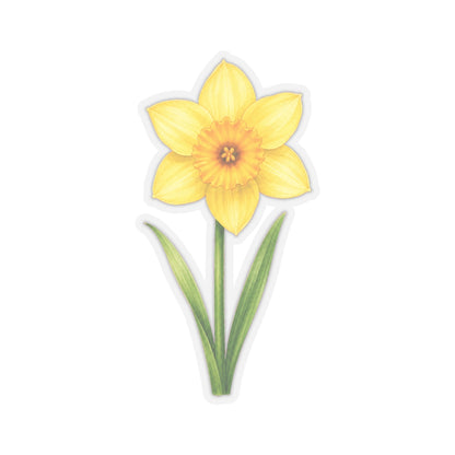 Yellow Daffodil Flower Sticker Decal, Blossom Floral Watercolor Art Vinyl Cute Waterbottle Tumbler Car Waterproof Bumper Clear Die Cut Wall - Starcove Fashion