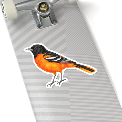 Baltimore Oriole Bird Sticker Decal, Orange Birdwatcher Watercolor Art Vinyl Laptop Waterbottle Tumbler Car Waterproof Bumper Clear Die Cut