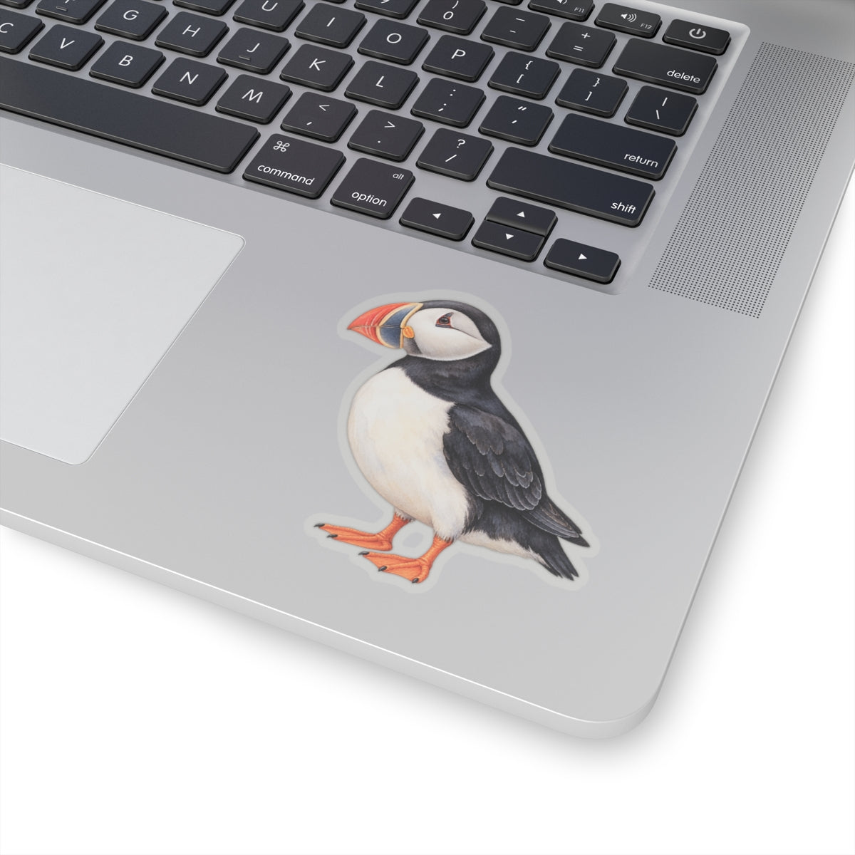 Atlantic Puffin Sticker Decal, Bird Seabird Watercolor Art Vinyl Laptop Cute Waterbottle Tumbler Car Waterproof Bumper 4x4 Clear Die Cut