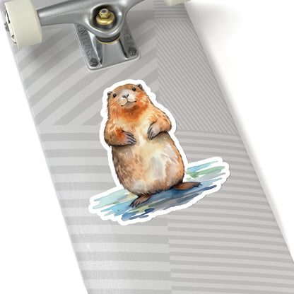 Beaver Sticker, Animal Watercolor Cute Vinyl Decal Label Phone Transparent Clear Small Large Cool Art Computer Hydro Flask Starcove Fashion