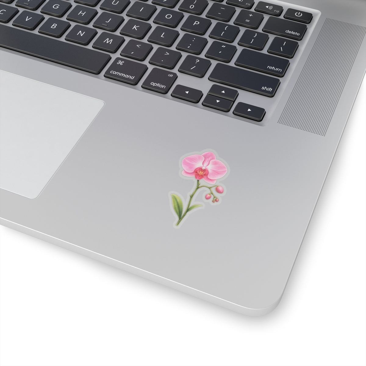 Pink Orchid Flower Sticker Decal, Blossom Floral Watercolor Art Vinyl Cute Waterbottle Tumbler Car Waterproof Bumper Clear Die Cut Wall - Starcove Fashion