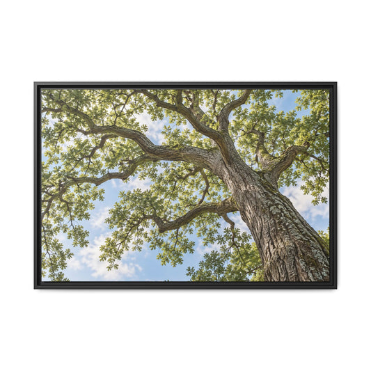 Oak Tree Canopy Canvas Wood Framed, Sunlit Woodland Wall Art Print Artwork Decor Small Large Hanging Matte Modern Vintage Landscape