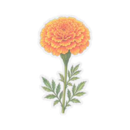 Marigold Flower Sticker Decal, Bright Orange Floral Watercolor Art Vinyl Cute Waterbottle Tumbler Car Waterproof Bumper Clear Die Cut Wall - Starcove Fashion