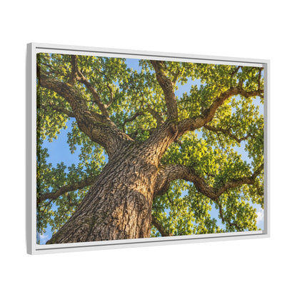 Oak Tree Canopy Canvas Wood Framed, Green Foliage Sunlit Woodland Wall Art Print Artwork Decor Small Large Hanging Matte Modern Landscape