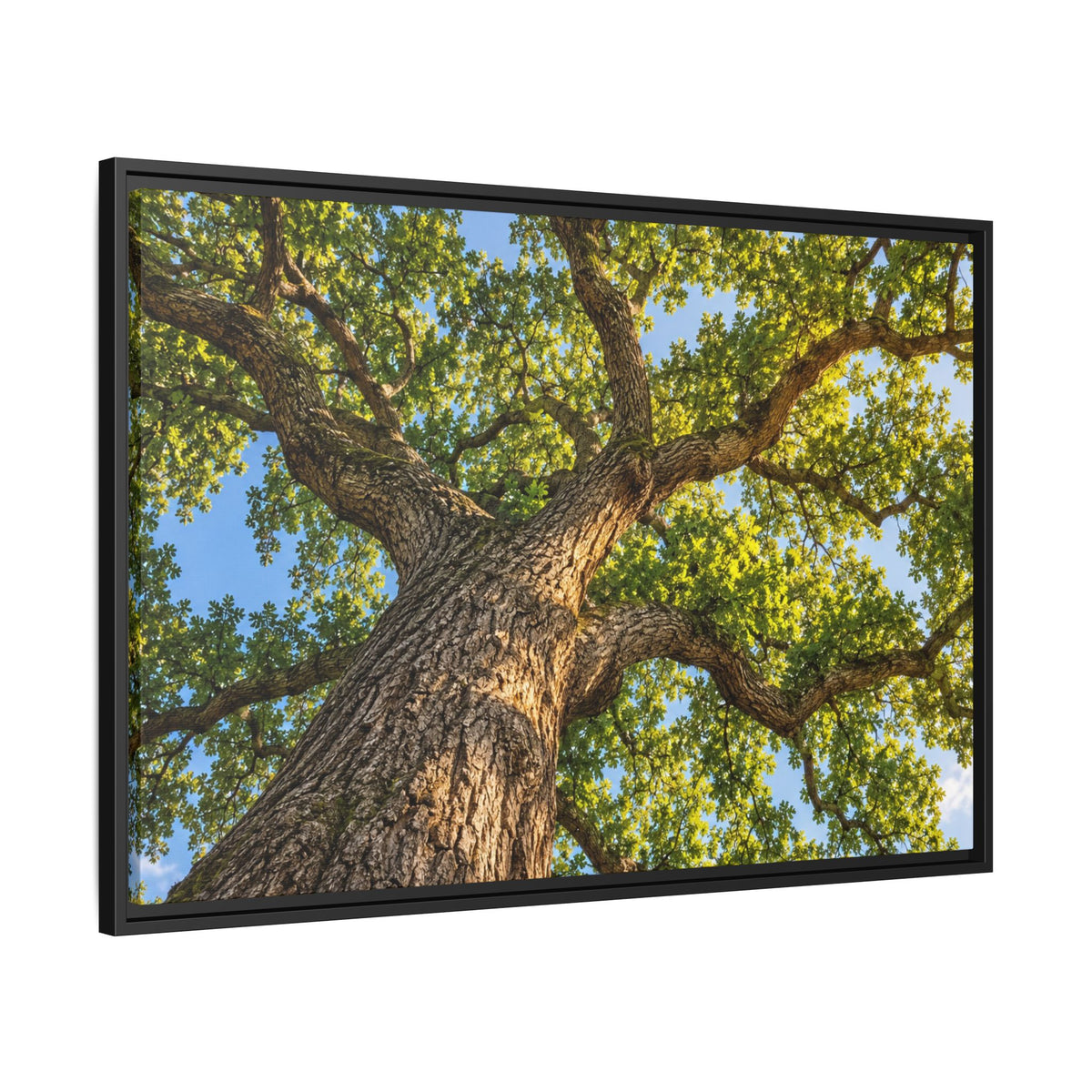 Oak Tree Canopy Canvas Wood Framed, Green Foliage Sunlit Woodland Wall Art Print Artwork Decor Small Large Hanging Matte Modern Landscape