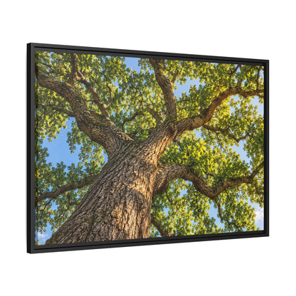Oak Tree Canopy Canvas Wood Framed, Green Foliage Sunlit Woodland Wall Art Print Artwork Decor Small Large Hanging Matte Modern Landscape