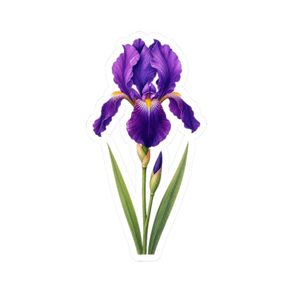 Purple Iris Flower Sticker Decal, Blossom Floral Watercolor Art Vinyl Cute Waterbottle Tumbler Car Waterproof Bumper Clear Die Cut Wall - Starcove Fashion