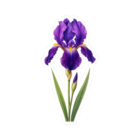 Purple Iris Flower Sticker Decal, Blossom Floral Watercolor Art Vinyl Cute Waterbottle Tumbler Car Waterproof Bumper Clear Die Cut Wall