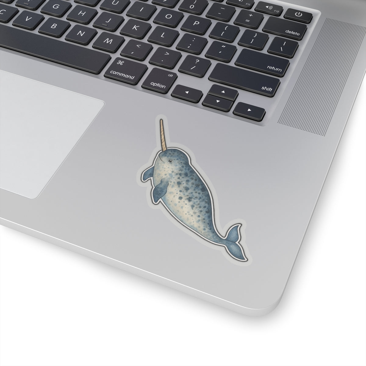 Narwhal Sticker Decal, Ocean Animal Sea Whale Watercolor Art Vinyl Laptop Cute Waterbottle Tumbler Car Waterproof Bumper Clear Die Cut Wall