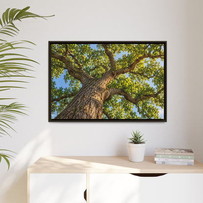 Oak Tree Canopy Canvas Wood Framed, Green Foliage Sunlit Woodland Wall Art Print Artwork Decor Small Large Hanging Matte Modern Landscape