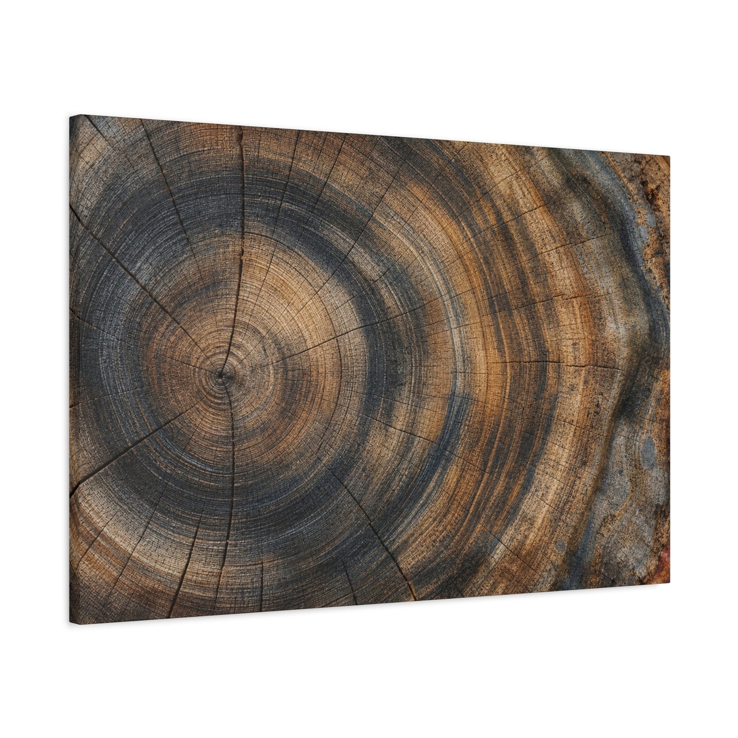 Tree Rings Canvas Gallery Wrap, Wood Farmhouse Nature Earth Watercolor Wall Art Print Decor Small Large Hanging Modern Landscape Living Room