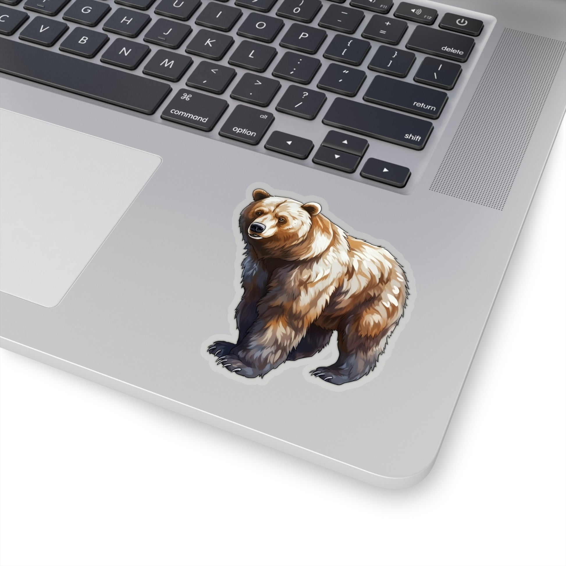 Grizzly Bear Sticker Decal, Animal Art Vinyl Laptop Cute Waterbottle Tumbler Car Waterproof Bumper Clear Aesthetic Die Cut Wall Starcove Fashion