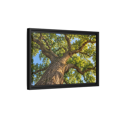 Oak Tree Canopy Canvas Wood Framed, Green Foliage Sunlit Woodland Wall Art Print Artwork Decor Small Large Hanging Matte Modern Landscape