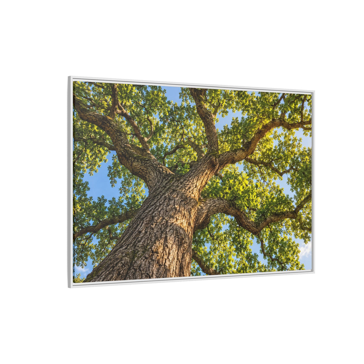 Oak Tree Canopy Canvas Wood Framed, Green Foliage Sunlit Woodland Wall Art Print Artwork Decor Small Large Hanging Matte Modern Landscape