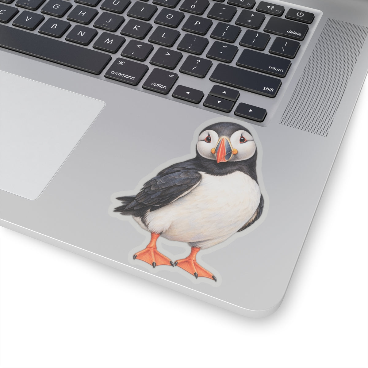 Atlantic Puffin Sticker Decal, Bird Seabird Watercolor Art Vinyl Laptop Cute Waterbottle Tumbler Car Waterproof Bumper 4x4 Clear Die Cut