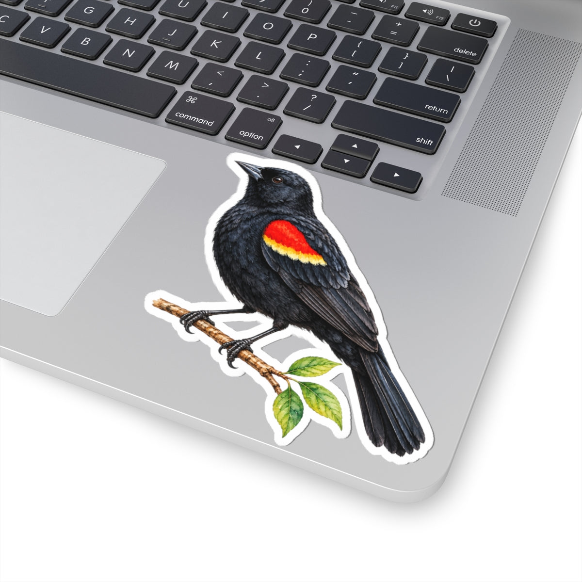 Red-Winged Blackbird Bird Sticker Decal, Birdwatcher Wetland Watercolor Art Vinyl Laptop Waterbottle Tumbler Car Waterproof Bumper Clear Die Cut