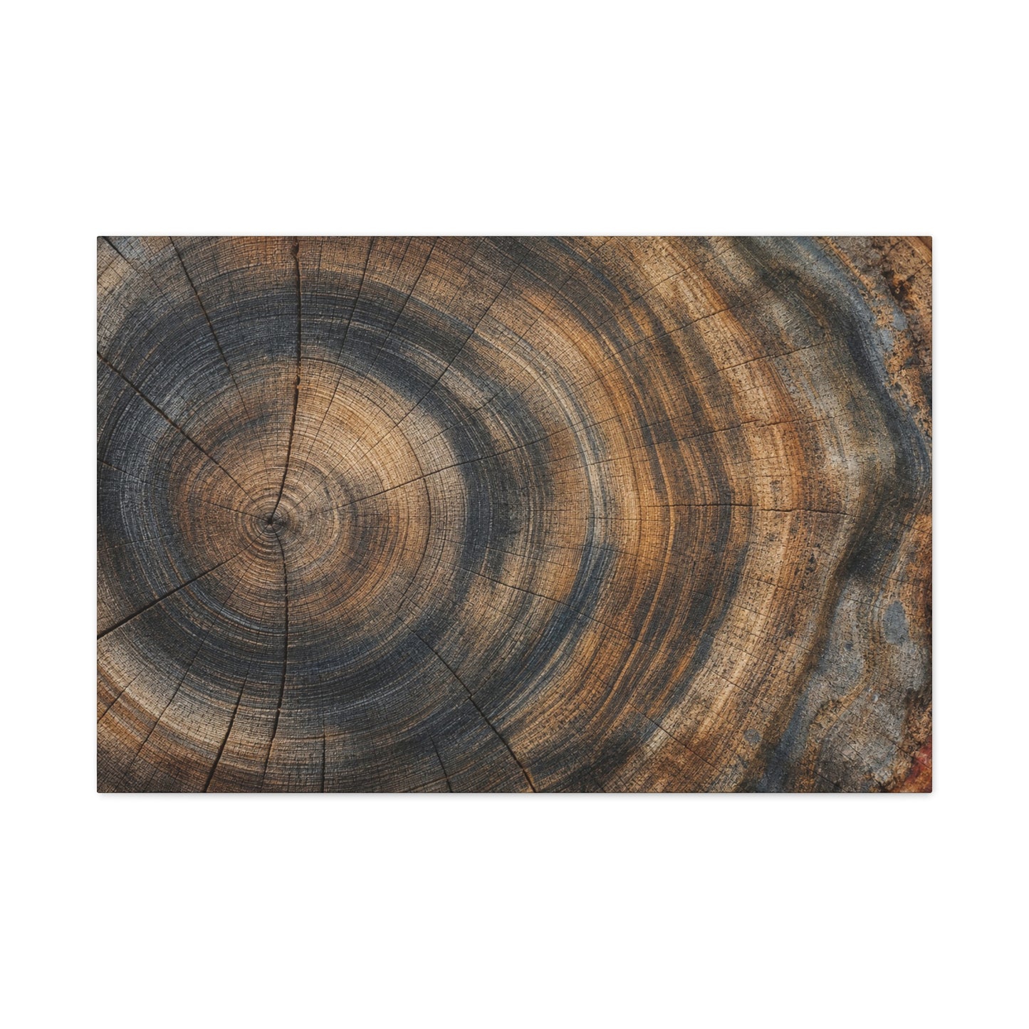 Tree Rings Canvas Gallery Wrap, Wood Farmhouse Nature Earth Watercolor Wall Art Print Decor Small Large Hanging Modern Landscape Living Room