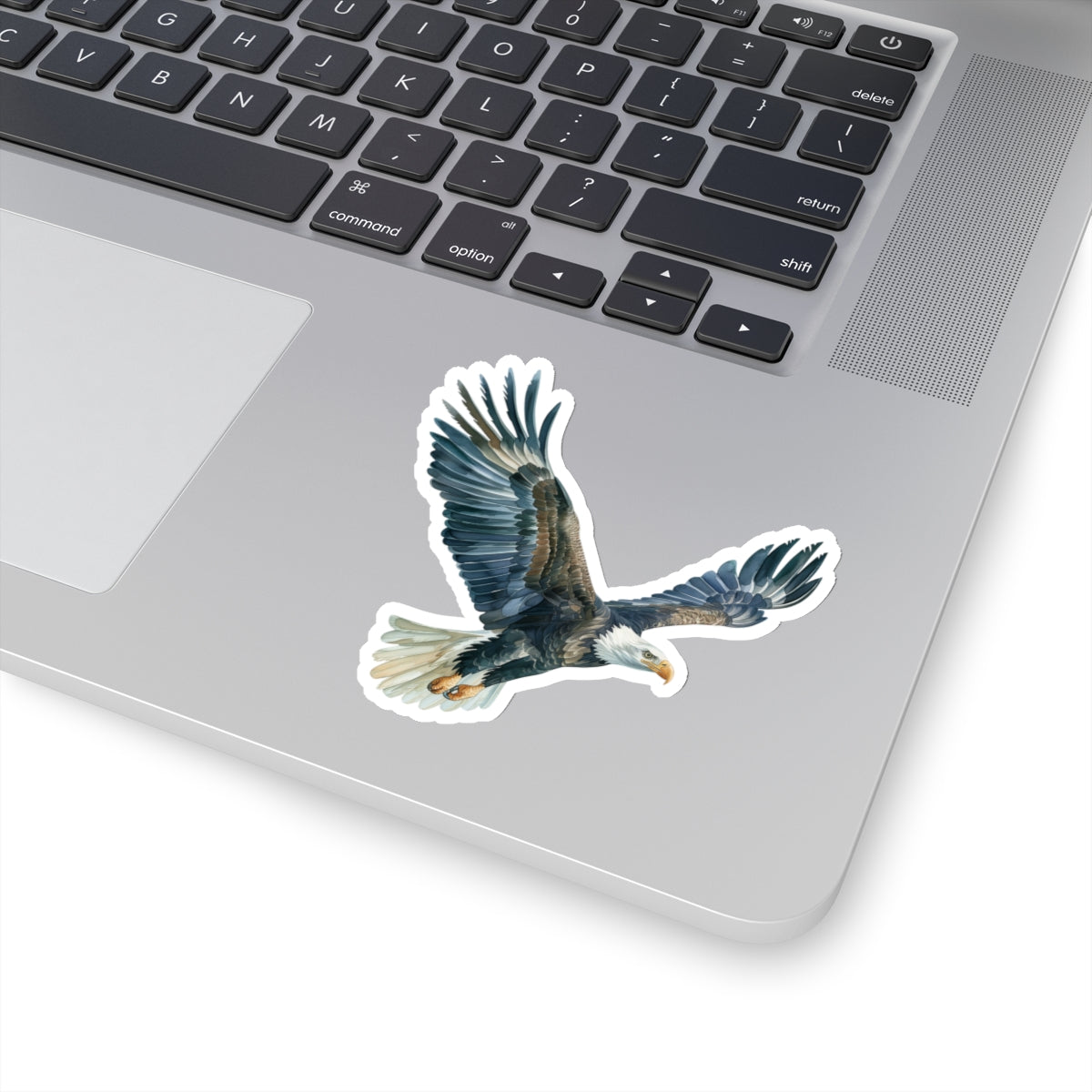 Bald Eagle Flying Sticker Decal, Watercolor Animal Bird Art Vinyl Laptop Cute Waterbottle Tumbler Car Waterproof Bumper Clear Aesthetic