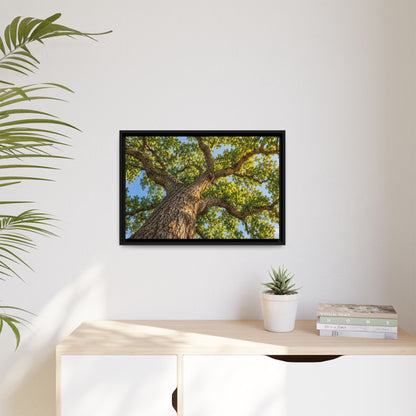 Oak Tree Canopy Canvas Wood Framed, Green Foliage Sunlit Woodland Wall Art Print Artwork Decor Small Large Hanging Matte Modern Landscape
