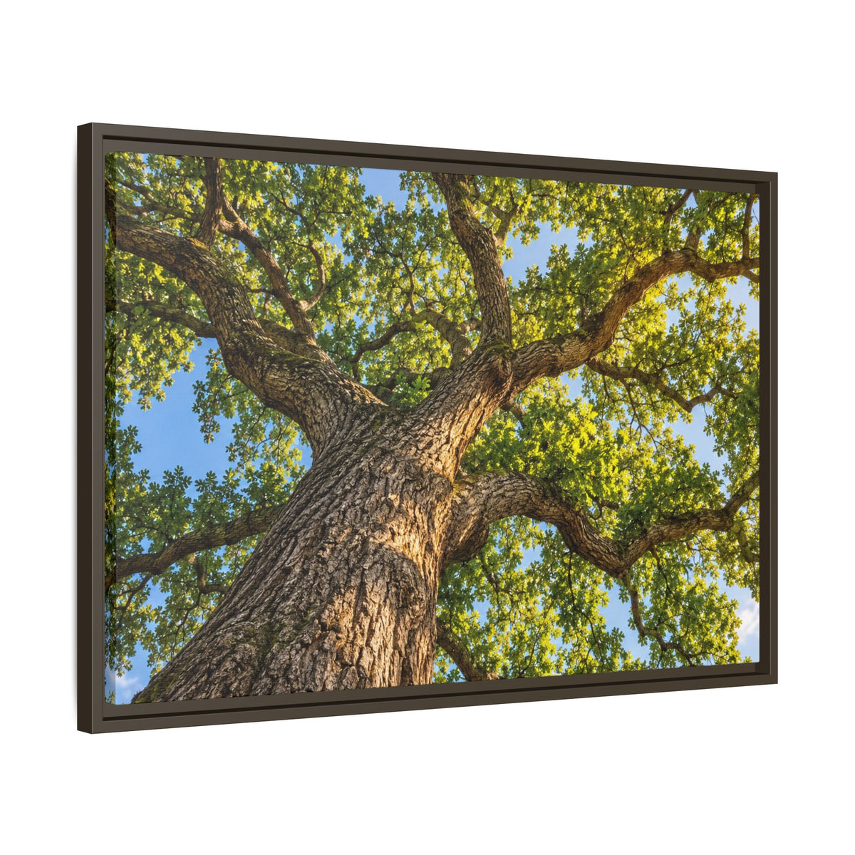 Oak Tree Canopy Canvas Wood Framed, Green Foliage Sunlit Woodland Wall Art Print Artwork Decor Small Large Hanging Matte Modern Landscape