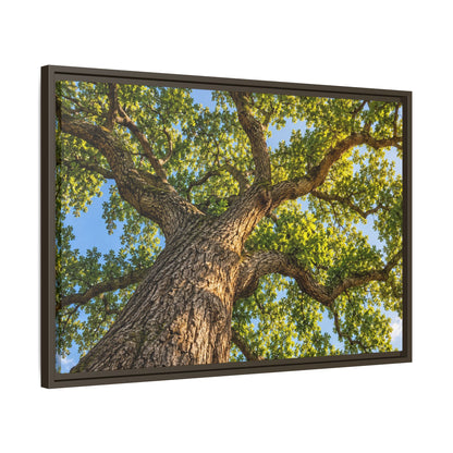 Oak Tree Canopy Canvas Wood Framed, Green Foliage Sunlit Woodland Wall Art Print Artwork Decor Small Large Hanging Matte Modern Landscape