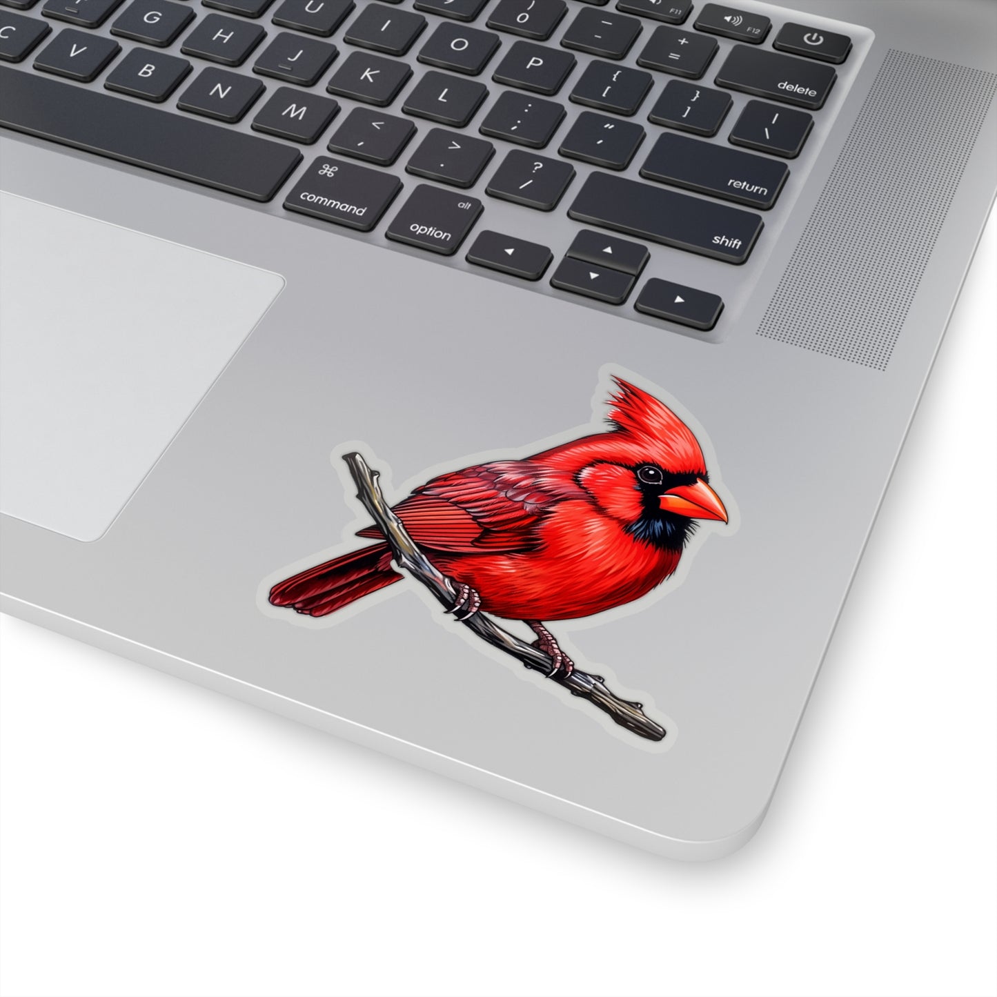 Cardinal Sticker Decal, Red Bird Art Vinyl Laptop Cute Waterbottle Tumbler Car Waterproof Bumper Clear Aesthetic Die Cut Wall