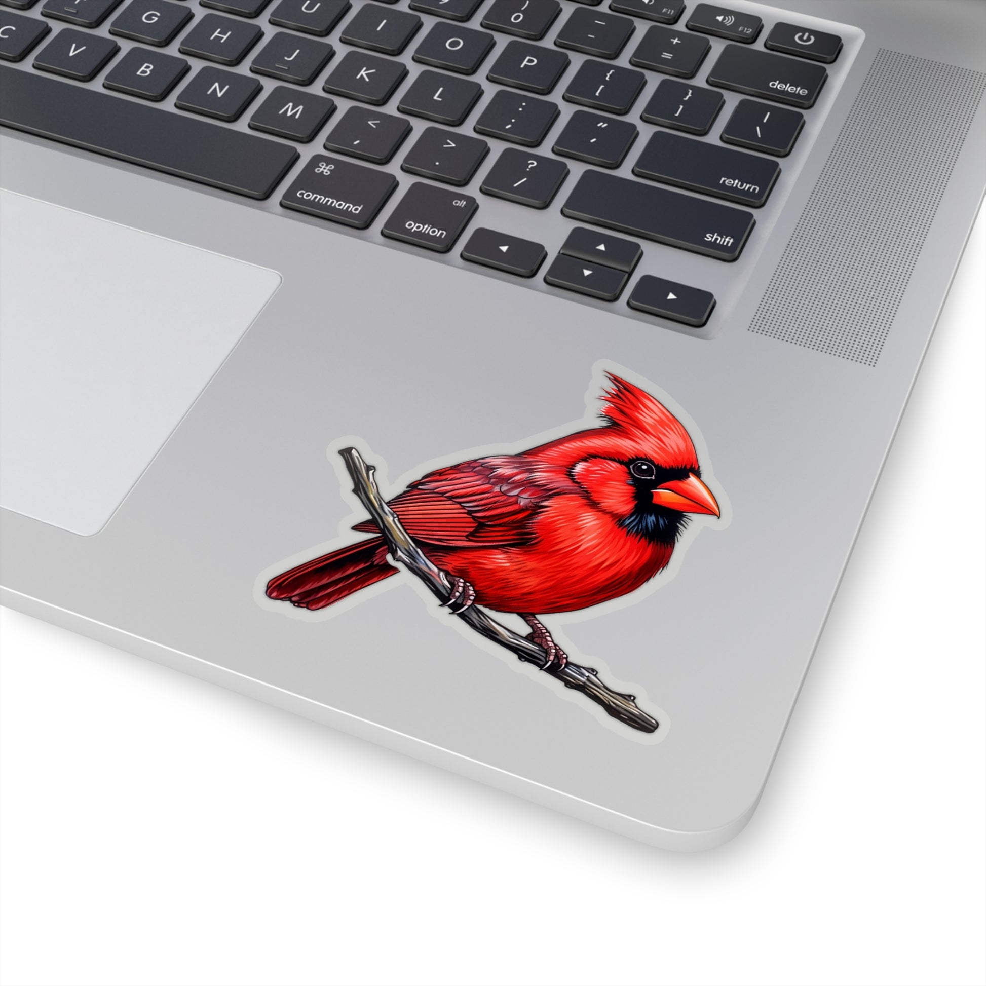 Cardinal Sticker Decal, Red Bird Art Vinyl Laptop Cute Waterbottle Tumbler Car Waterproof Bumper Clear Aesthetic Die Cut Wall Starcove Fashion