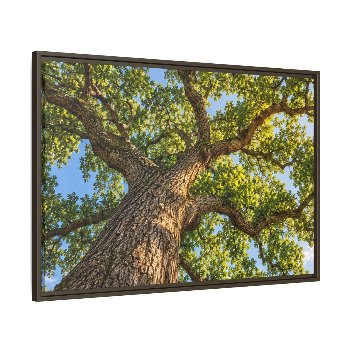 Oak Tree Canopy Canvas Wood Framed, Green Foliage Sunlit Woodland Wall Art Print Artwork Decor Small Large Hanging Matte Modern Landscape