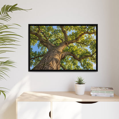 Oak Tree Canopy Canvas Wood Framed, Green Foliage Sunlit Woodland Wall Art Print Artwork Decor Small Large Hanging Matte Modern Landscape