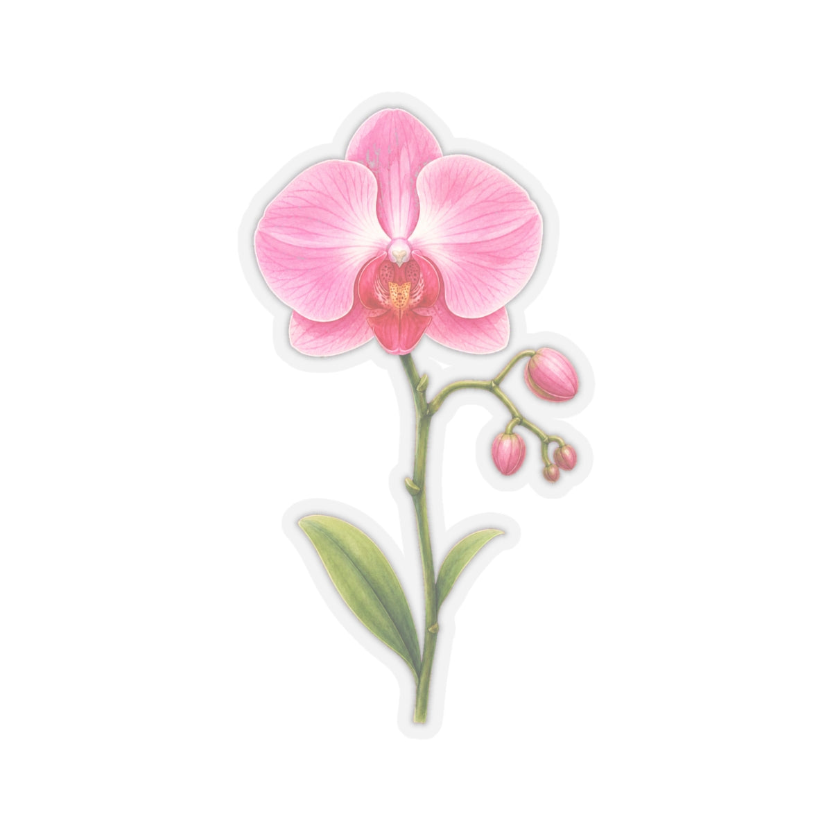 Pink Orchid Flower Sticker Decal, Blossom Floral Watercolor Art Vinyl Cute Waterbottle Tumbler Car Waterproof Bumper Clear Die Cut Wall - Starcove Fashion